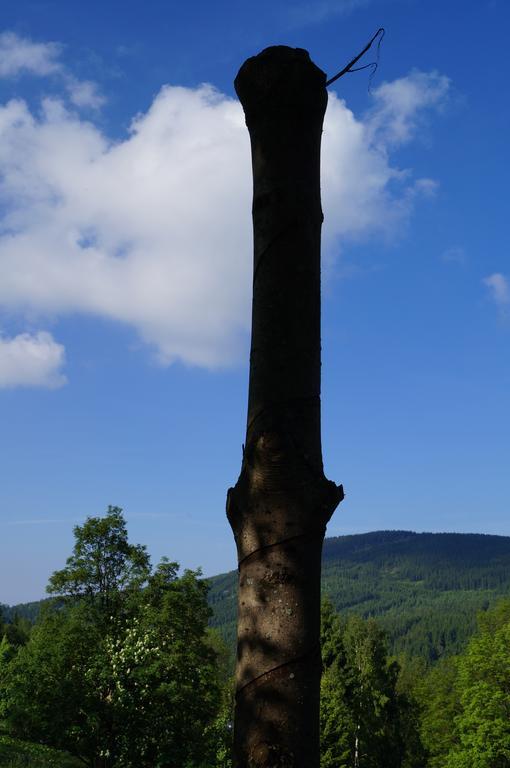 Chata Jawa Hotell Strážné Exteriör bild